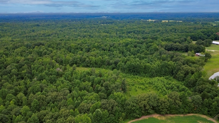West TN Hunting Land and Recreational Farm for Sale - image 37