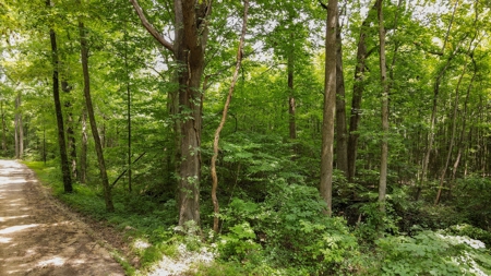 West TN Hunting Land and Recreational Farm for Sale - image 11