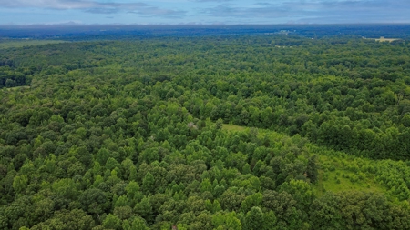 West TN Hunting Land and Recreational Farm for Sale - image 35