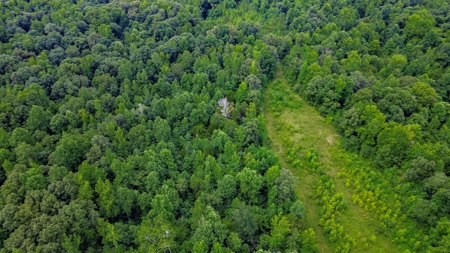 West TN Hunting Land and Recreational Farm for Sale - image 20