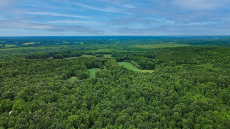 West TN Hunting Land and Recreational Farm for Sale - image 25