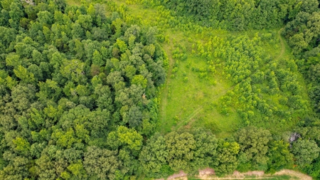West TN Hunting Land and Recreational Farm for Sale - image 28