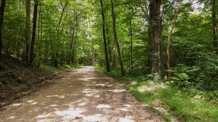West TN Hunting Land and Recreational Farm for Sale - image 12