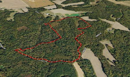 West TN Hunting Land and Recreational Farm for Sale - image 42