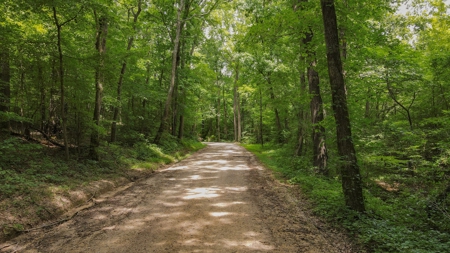 West TN Hunting Land and Recreational Farm for Sale - image 2