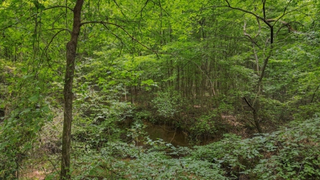 West TN Hunting Land and Recreational Farm for Sale - image 8