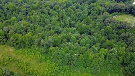 West TN Hunting Land and Recreational Farm for Sale - image 21
