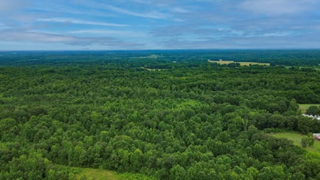 West TN Hunting Land and Recreational Farm for Sale - image 22