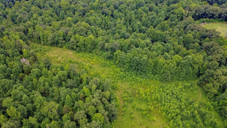 West TN Hunting Land and Recreational Farm for Sale - image 27