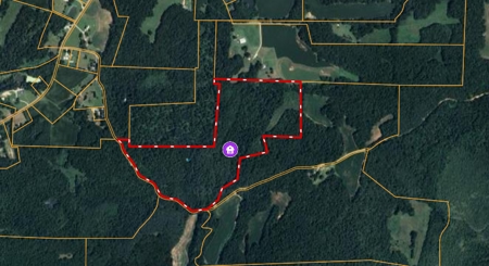 West TN Hunting Land and Recreational Farm for Sale - image 40