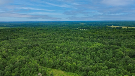 West TN Hunting Land and Recreational Farm for Sale - image 23