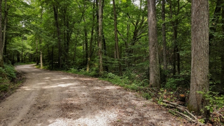 West TN Hunting Land and Recreational Farm for Sale - image 7