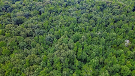 West TN Hunting Land and Recreational Farm for Sale - image 18