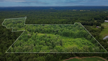 West TN Hunting Land and Recreational Farm for Sale - image 1
