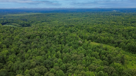 West TN Hunting Land and Recreational Farm for Sale - image 34