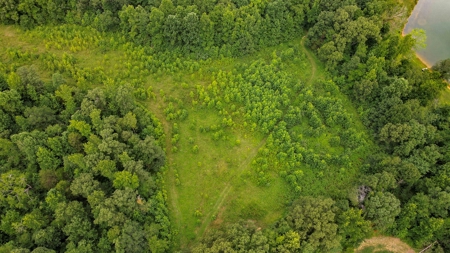 West TN Hunting Land and Recreational Farm for Sale - image 31