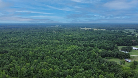 West TN Hunting Land and Recreational Farm for Sale - image 38