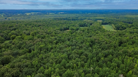 West TN Hunting Land and Recreational Farm for Sale - image 15