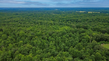 West TN Hunting Land and Recreational Farm for Sale - image 16