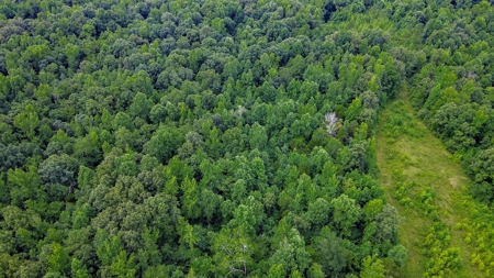 West TN Hunting Land and Recreational Farm for Sale - image 19