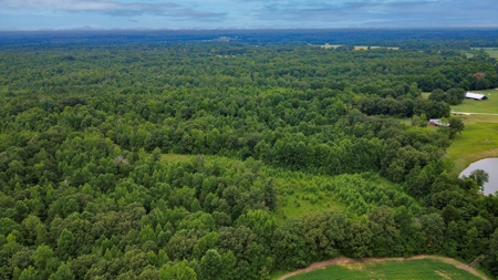West TN Hunting Land and Recreational Farm for Sale - image 36