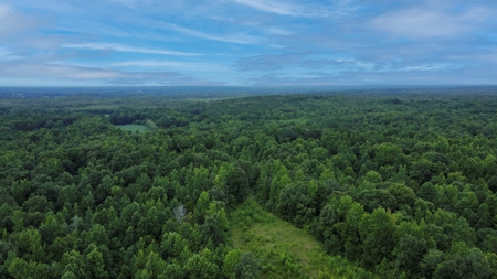 West TN Hunting Land and Recreational Farm for Sale - image 39
