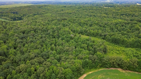 West TN Hunting Land and Recreational Farm for Sale - image 33