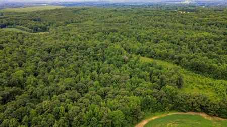 West TN Hunting Land and Recreational Farm for Sale - image 32