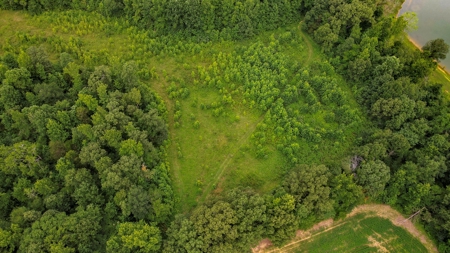 West TN Hunting Land and Recreational Farm for Sale - image 30