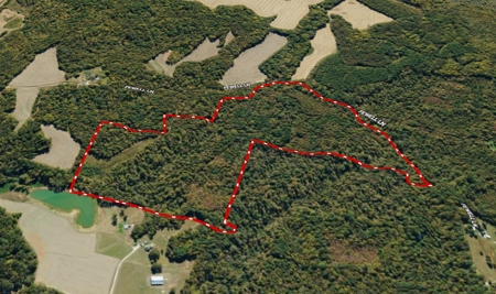 West TN Hunting Land and Recreational Farm for Sale - image 41