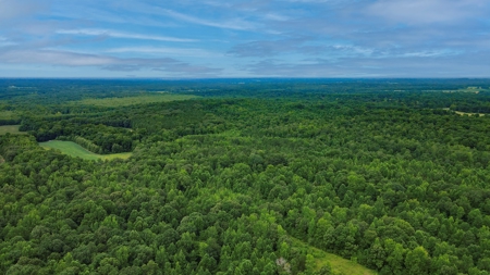West TN Hunting Land and Recreational Farm for Sale - image 26