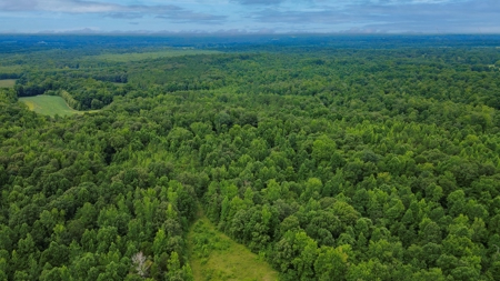 West TN Hunting Land and Recreational Farm for Sale - image 17