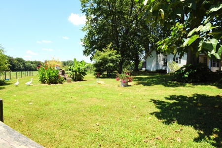 Hobby Farm on 5.74 Acres, House, Barn, Sheds, Cave, Woods - image 26