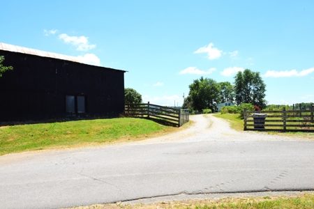 Hobby Farm on 5.74 Acres, House, Barn, Sheds, Cave, Woods - image 46