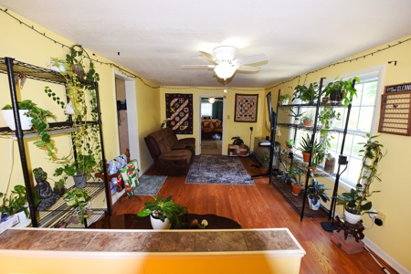 Hobby Farm on 5.74 Acres, House, Barn, Sheds, Cave, Woods - image 5