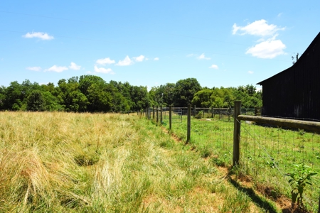 Hobby Farm on 5.74 Acres, House, Barn, Sheds, Cave, Woods - image 47