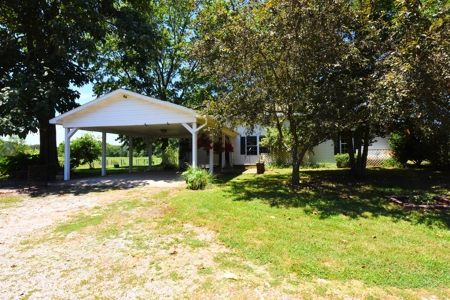 Hobby Farm on 5.74 Acres, House, Barn, Sheds, Cave, Woods - image 4