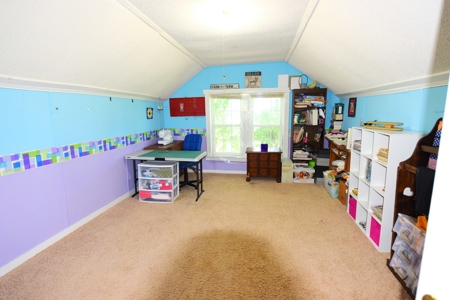 Hobby Farm on 5.74 Acres, House, Barn, Sheds, Cave, Woods - image 19