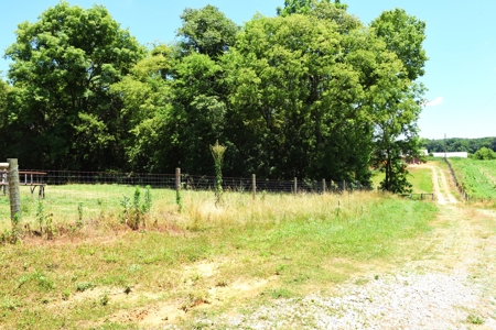 Hobby Farm on 5.74 Acres, House, Barn, Sheds, Cave, Woods - image 31