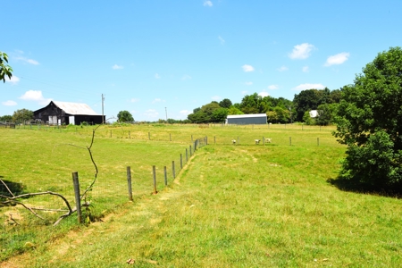Hobby Farm on 5.74 Acres, House, Barn, Sheds, Cave, Woods - image 37