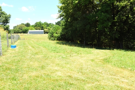 Hobby Farm on 5.74 Acres, House, Barn, Sheds, Cave, Woods - image 33