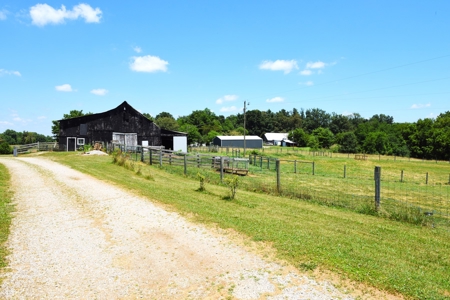 Hobby Farm on 5.74 Acres, House, Barn, Sheds, Cave, Woods - image 43