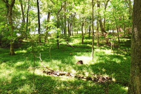 Hobby Farm on 5.74 Acres, House, Barn, Sheds, Cave, Woods - image 35