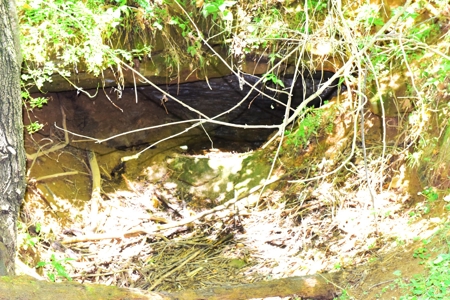 Hobby Farm on 5.74 Acres, House, Barn, Sheds, Cave, Woods - image 36