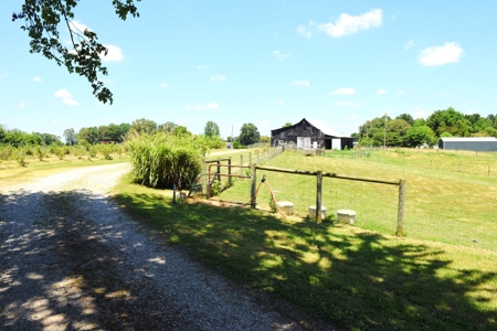Hobby Farm on 5.74 Acres, House, Barn, Sheds, Cave, Woods - image 39