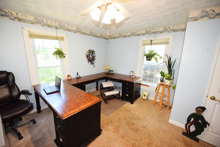 Hobby Farm on 5.74 Acres, House, Barn, Sheds, Cave, Woods - image 15