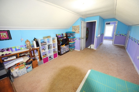 Hobby Farm on 5.74 Acres, House, Barn, Sheds, Cave, Woods - image 20