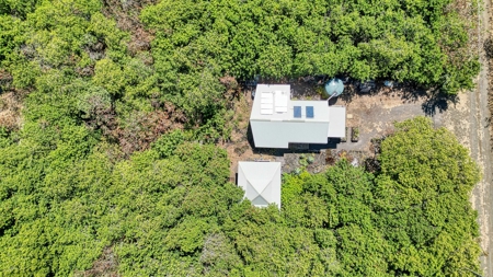 Off Grid Main house w/separate Bamboo room for 2nd Bedroom - image 36