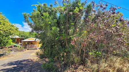 Off Grid Main house w/separate Bamboo room for 2nd Bedroom - image 44
