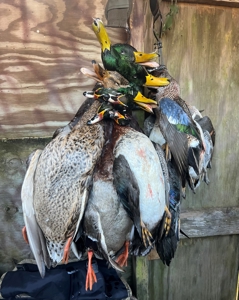 Hunting Recreational Property / Land For Sale In Louisiana - image 23